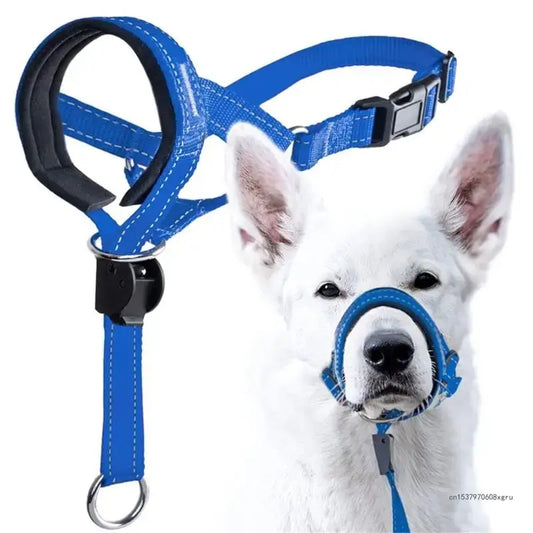 Dog Halter Training Collar
